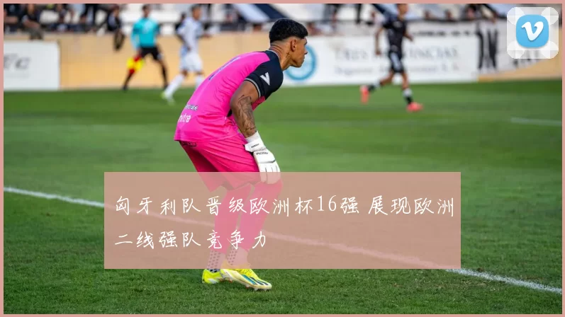 匈牙利队晋级欧洲杯16强 展现欧洲二线强队竞争力