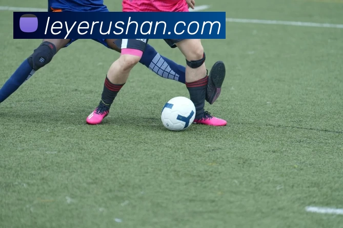 压球首页服务体系